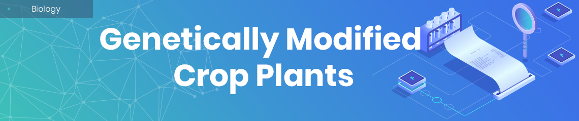 Genetically Modified Crop Plants